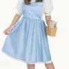 The Wizard Of Oz Dorothy Plus Adult Costume -Fantasy Costume Hub 17770
