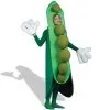 Peas In A Pod Adult Costume -Fantasy Costume Hub 18047