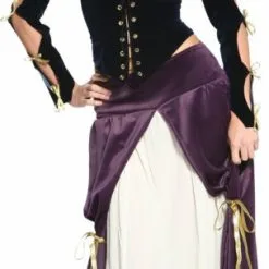 Lady Musketeer Adult Costume