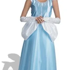 Cinderella Costume