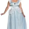 Cinderella Costume -Fantasy Costume Hub 466 768 dg11390