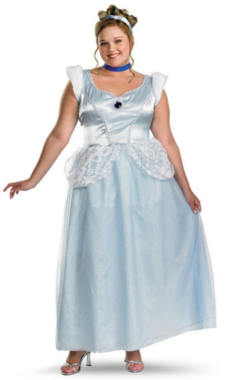 Cinderella Costume 3 Cinderella Costume