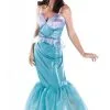 Ariel Costume -Fantasy Costume Hub 481 768 dg50511fixa
