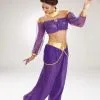 Jasmine Costume -Fantasy Costume Hub 511 768 DG5599