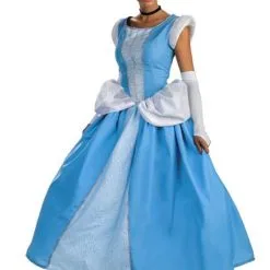 Cinderella Costume