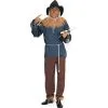 The Wizard Of Oz Scarecrow Adult Costume -Fantasy Costume Hub 6840