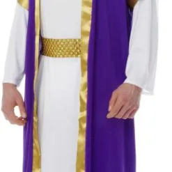 Biblical King Adult Costume