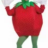 Strawberry Adult Costume -Fantasy Costume Hub 70206