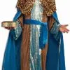 Sapphire Wiseman Adult Costume -Fantasy Costume Hub 800458 scaled