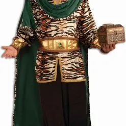 Emerald Wiseman Adult Costume