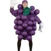 Grapes Purple Adult And Child Costume -Fantasy Costume Hub PA9500