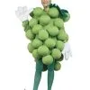Grapes Green Adult And Child Costume -Fantasy Costume Hub PA9501