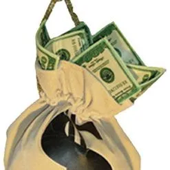 Money Bag Handbag Accessory