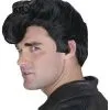 Danny Wig -Fantasy Costume Hub danny wig
