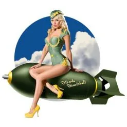 Sexy Pin Up Fly Girl Costume