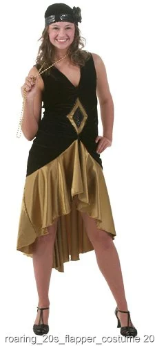 Roaring 20's Flapper Dress 3 Roaring 20's Flapper Dress