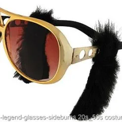 Rock Legend Glasses With Sideburns